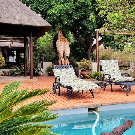 Graceland Eco Retreat Magoebaskloof Kültér fotó